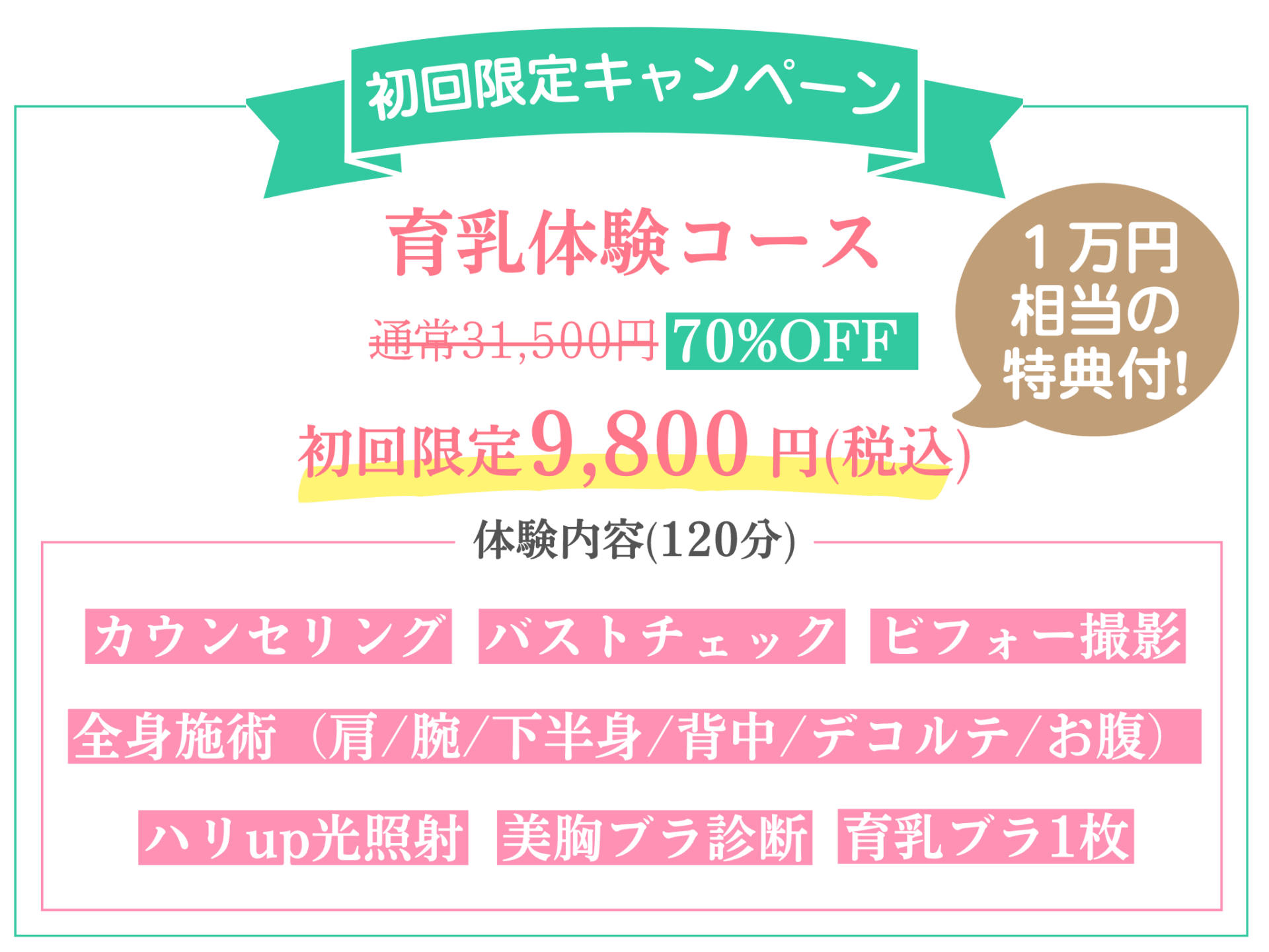 育乳体験コースの初回限定キャンペーン|鳥取市のバストアップ&よもぎ蒸しサロン|b-Holic